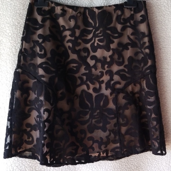 Ann Taylor Dresses & Skirts - Ann Taylor Burnout Skirt, Like New!